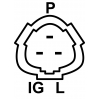 GENERATORIUS